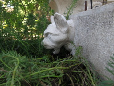 Sculpture en pierre d'une tête de chimère mystérieuse.